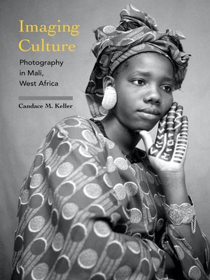 cover image of Imaging Culture